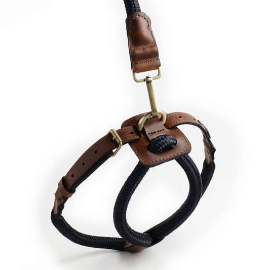 Arnes Colors 2 piezas Negro