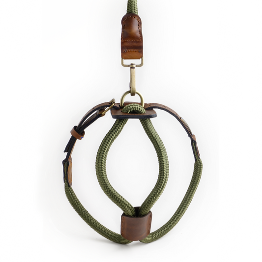 Arnes Colors 2 piezas Verde Oliva