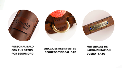 Arnes Colors 2 piezas Naranja