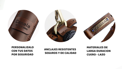 Arnes Colors 2 piezas Negro