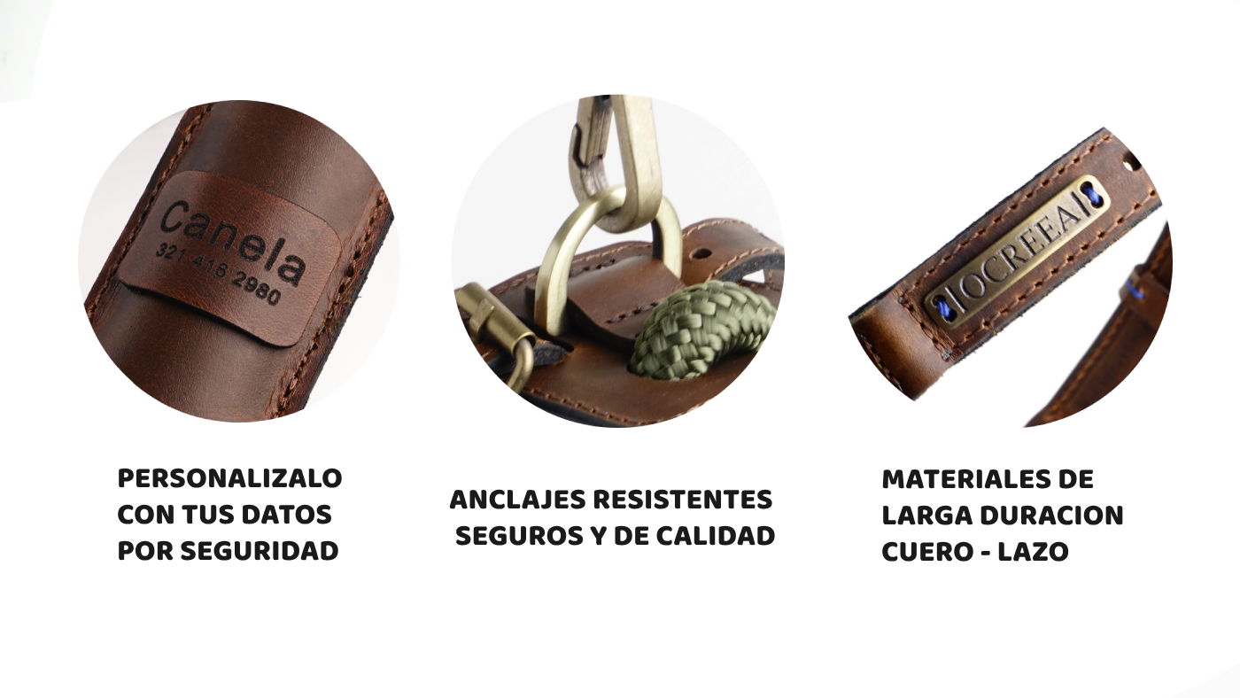 Arnes Colors 2 piezas Verde Oliva