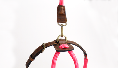 Arnes Colors 2 piezas Fucsia