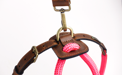 Arnes Colors 2 piezas Fucsia