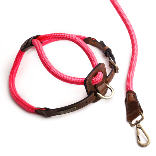 Arnes Colors 2 piezas Fucsia