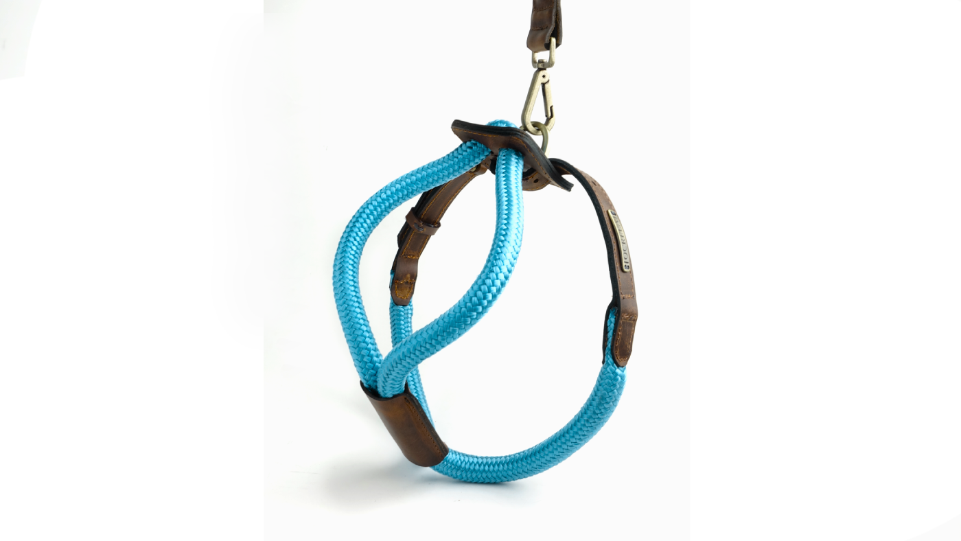 Arnes Colors 2 piezas Cyan