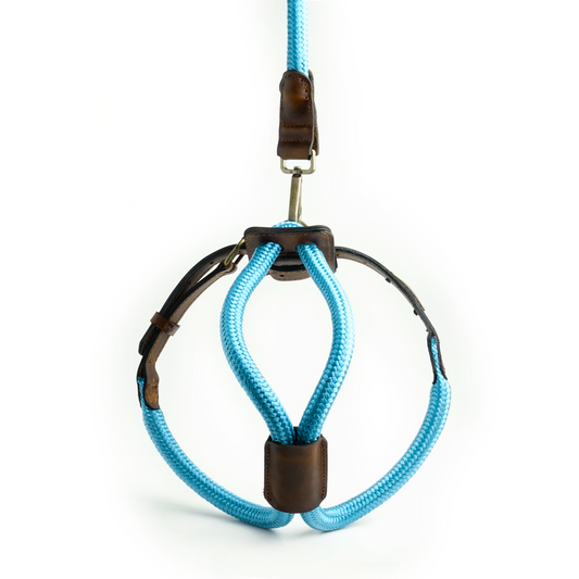 Arnes Colors 2 piezas Cyan