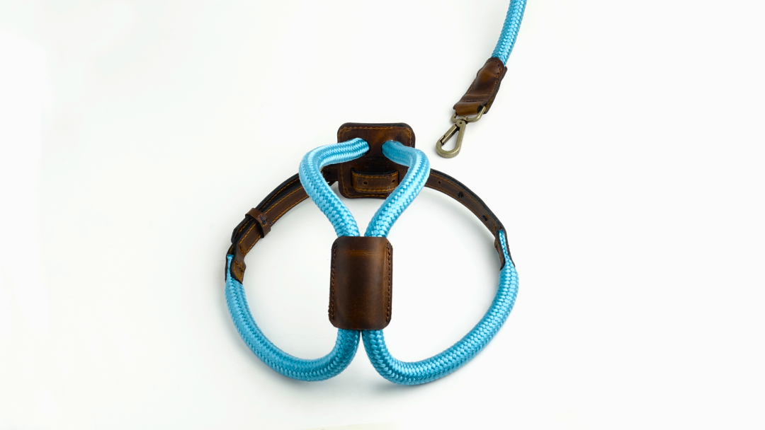 Arnes Colors 2 piezas Cyan