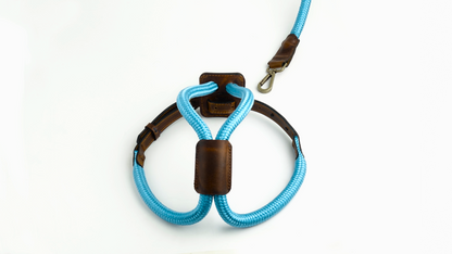 Arnes Colors 2 piezas Cyan