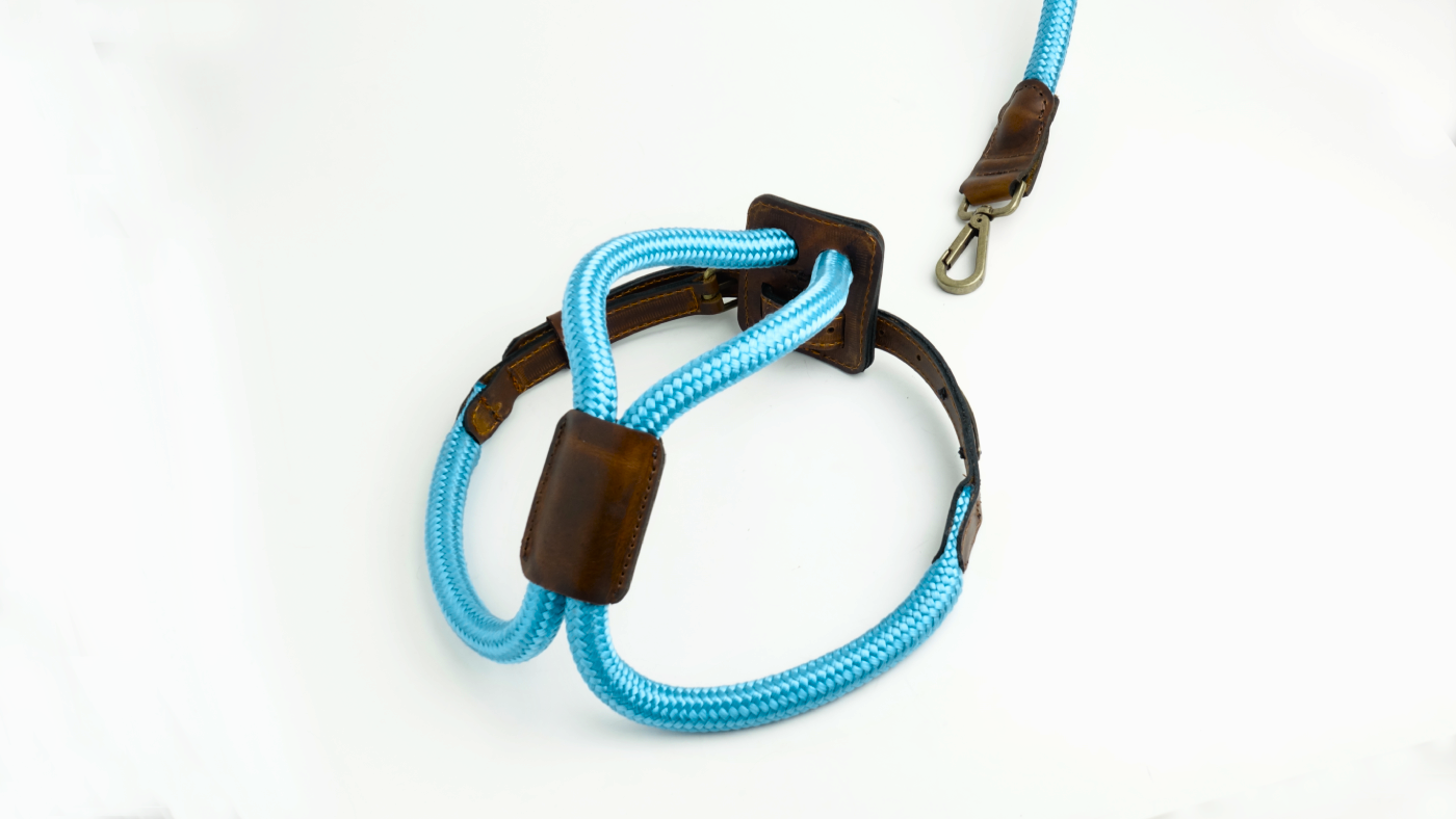 Arnes Colors 2 piezas Cyan