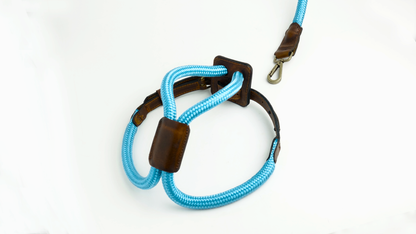 Arnes Colors 2 piezas Cyan