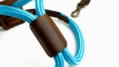 Arnes Colors 2 piezas Cyan