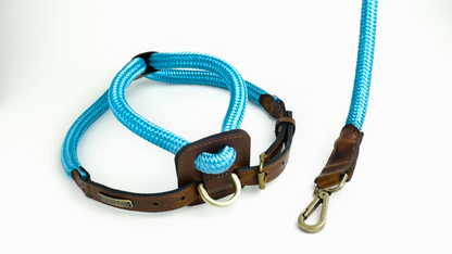 Arnes Colors 2 piezas Cyan