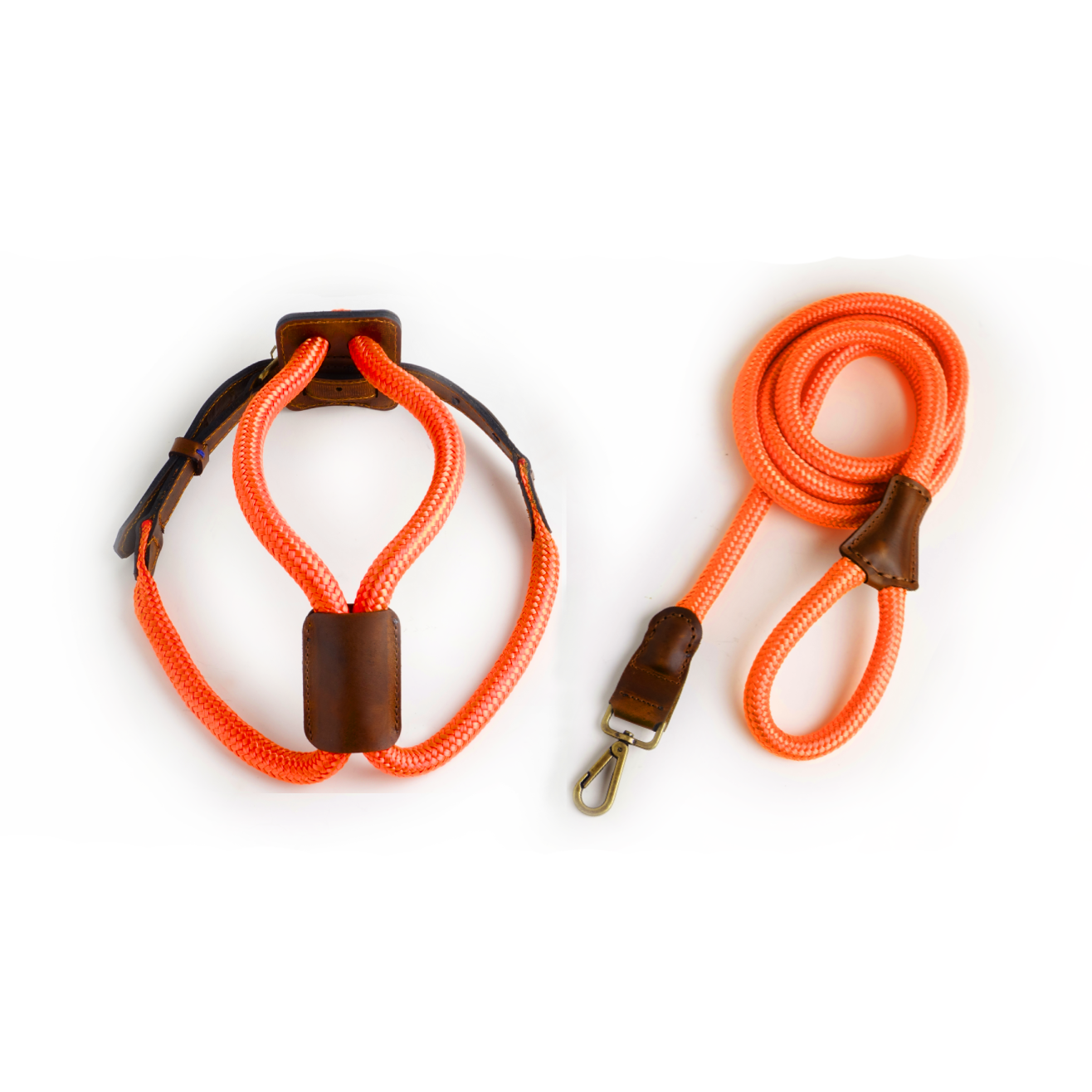 Arnes Colors 2 piezas Naranja