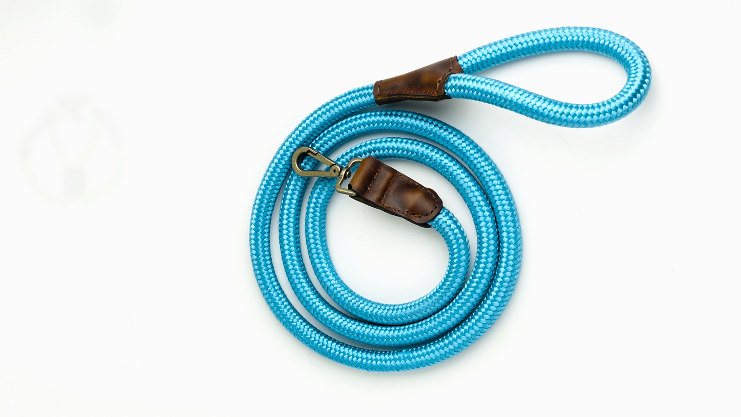 Arnes Colors 2 piezas Cyan