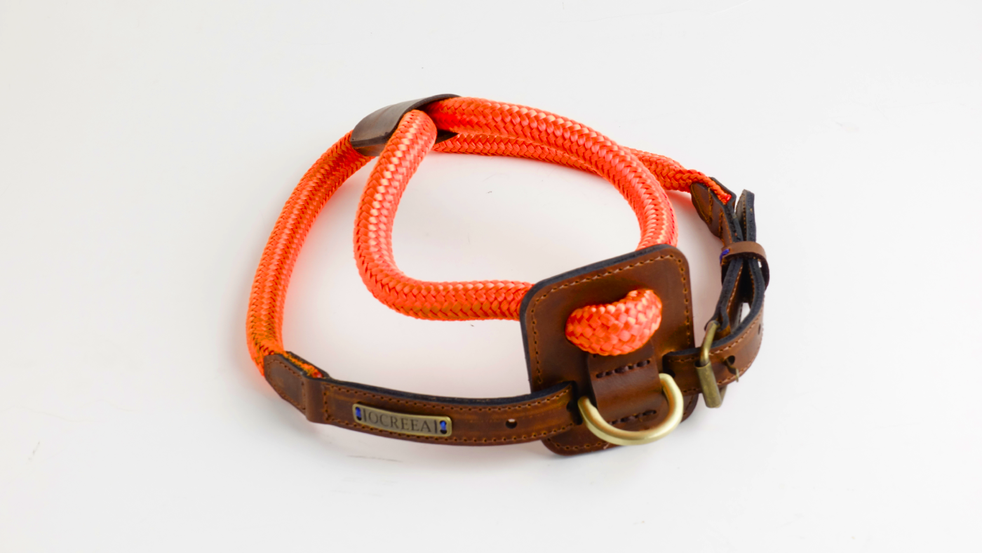 Arnes Colors 2 piezas Naranja