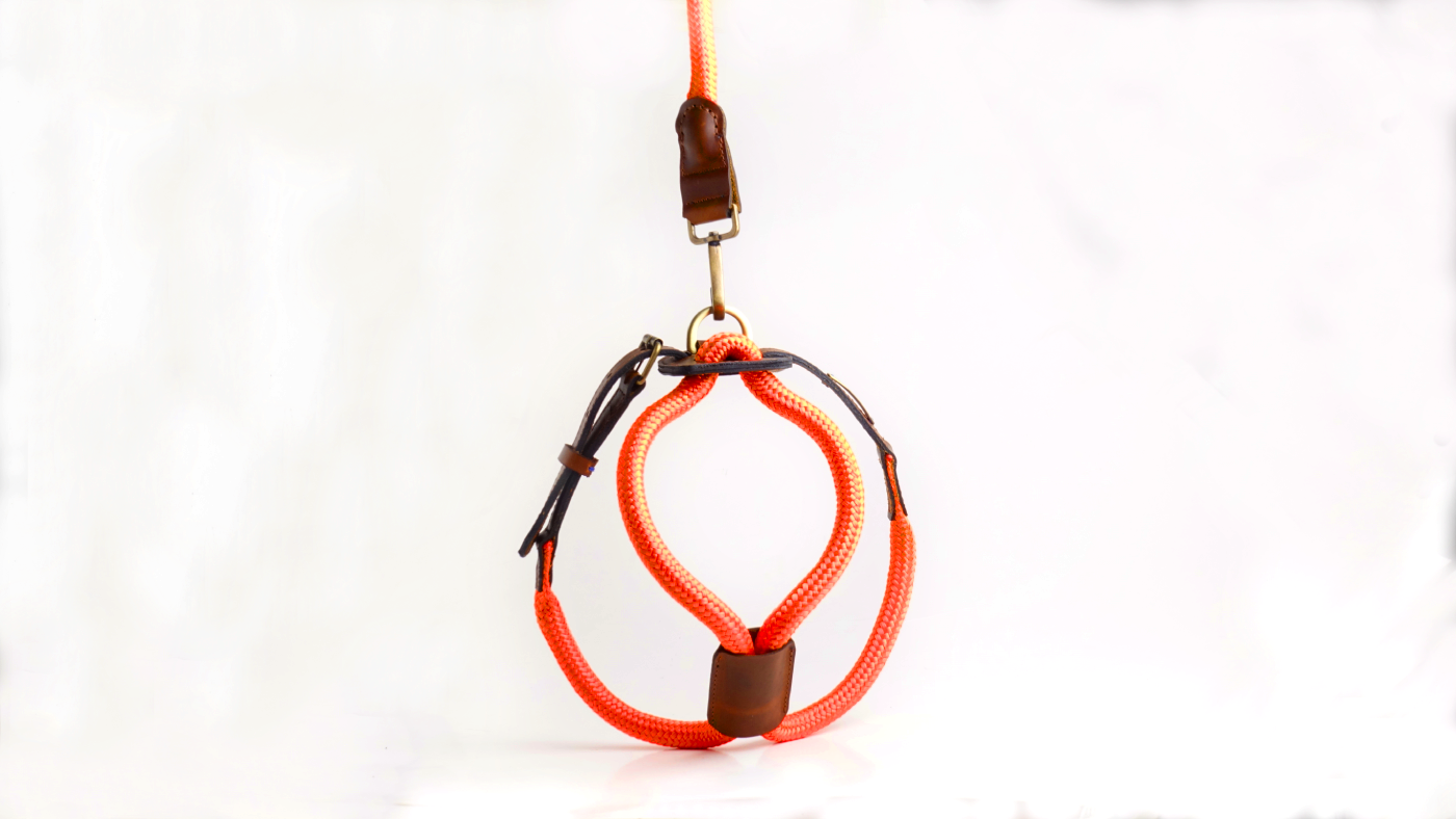 Arnes Colors 2 piezas Naranja