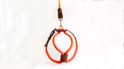 Arnes Colors 2 piezas Naranja