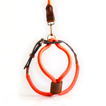 Arnes Colors 2 piezas Naranja