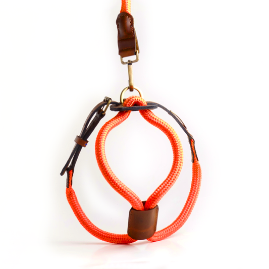 Arnes Colors 2 piezas Naranja