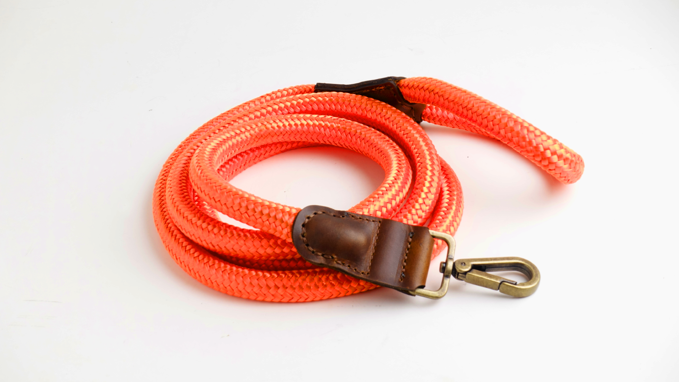 Arnes Colors 2 piezas Naranja