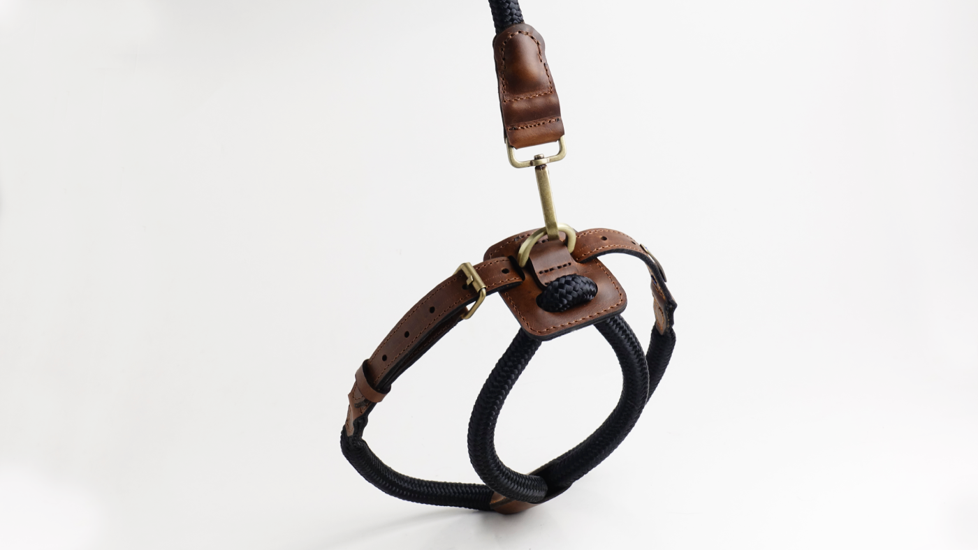 Arnes Colors 2 piezas Negro