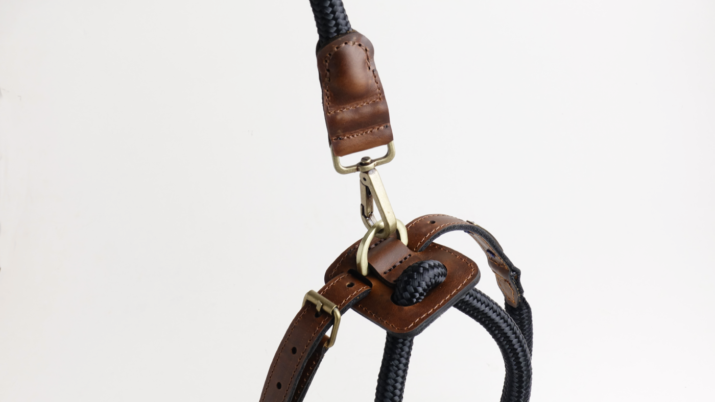 Arnes Colors 2 piezas Negro