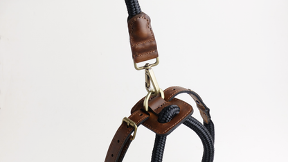 Arnes Colors 2 piezas Negro