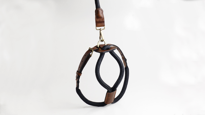 Arnes Colors 2 piezas Negro