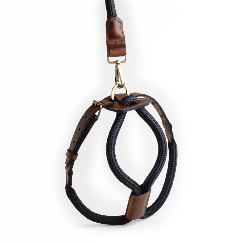 Arnes Colors 2 piezas Negro