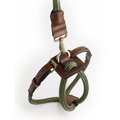 Arnes Colors 2 piezas Verde Oliva