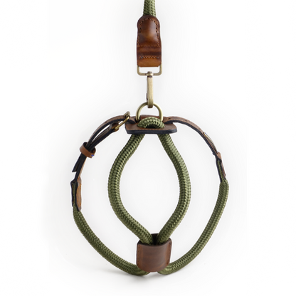 Arnes Colors 2 piezas Verde Oliva