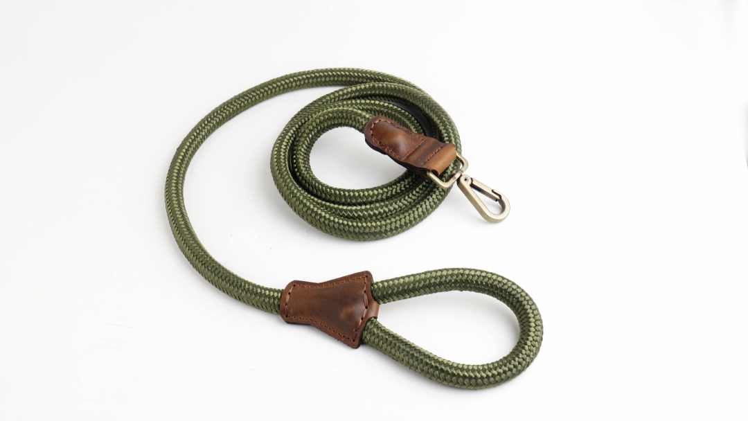 Arnes Colors 2 piezas Verde Oliva