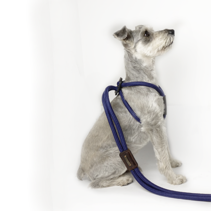 Arnes Colors Azul Navy