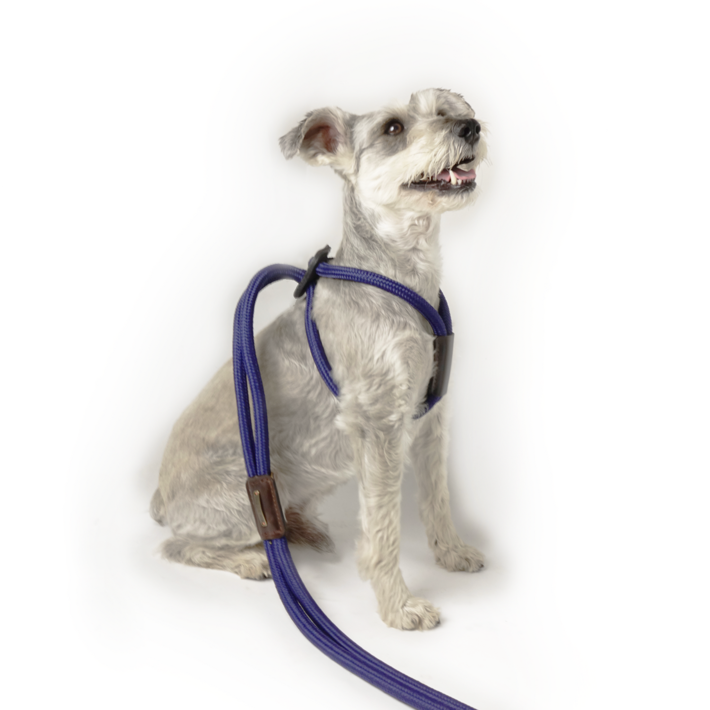 Arnes Colors Azul Navy