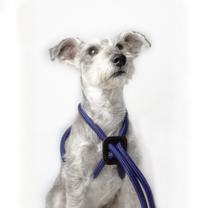 Arnes Colors Azul Navy