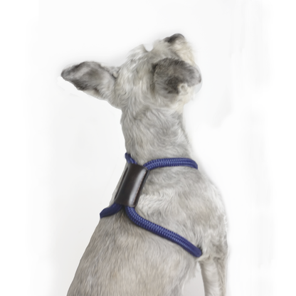 Arnes Colors Azul Navy