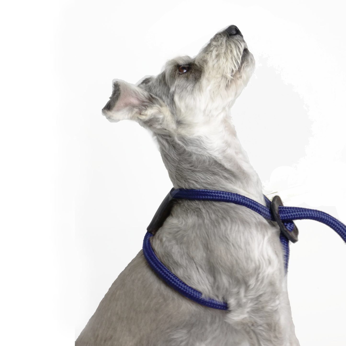 Arnes Colors Azul Navy