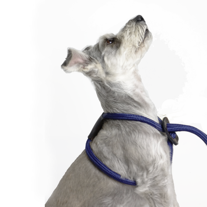 Arnes Colors Azul Navy