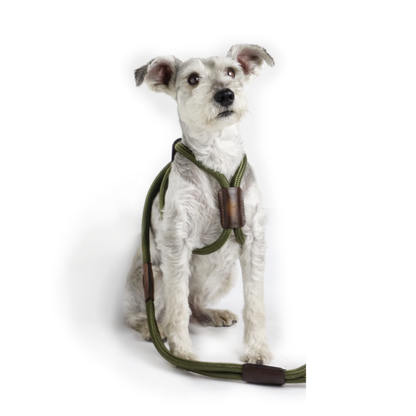 Arnes Colors Verde MIlitar