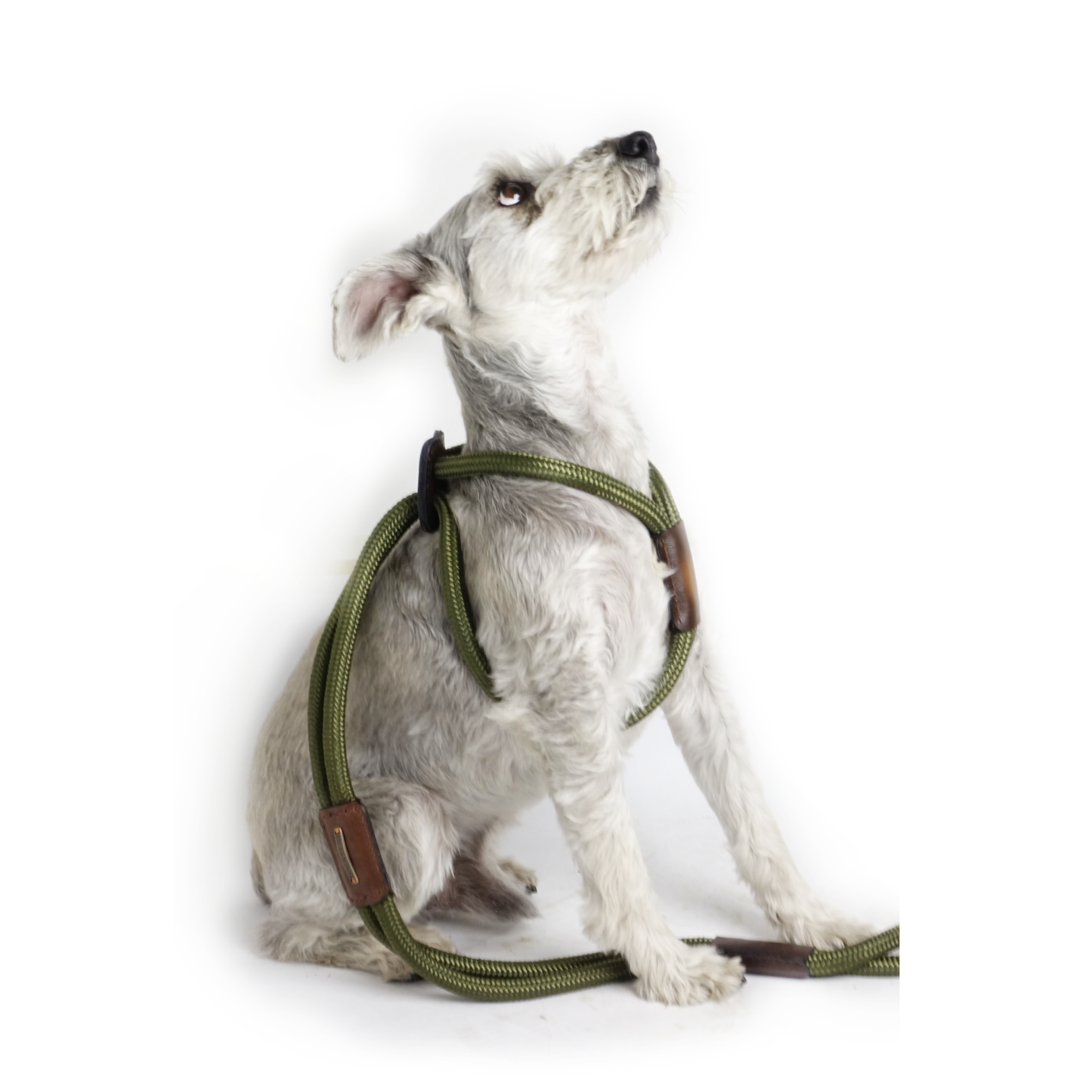 Arnes Colors Verde MIlitar