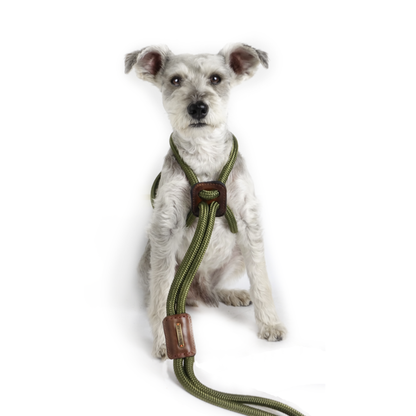 Arnes Colors Verde MIlitar