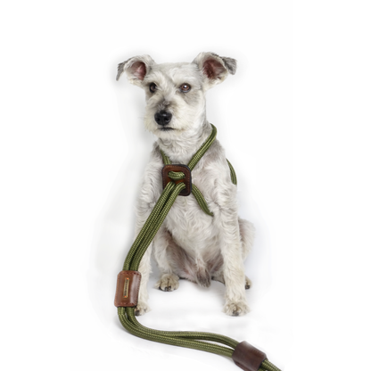 Arnes Colors Verde MIlitar