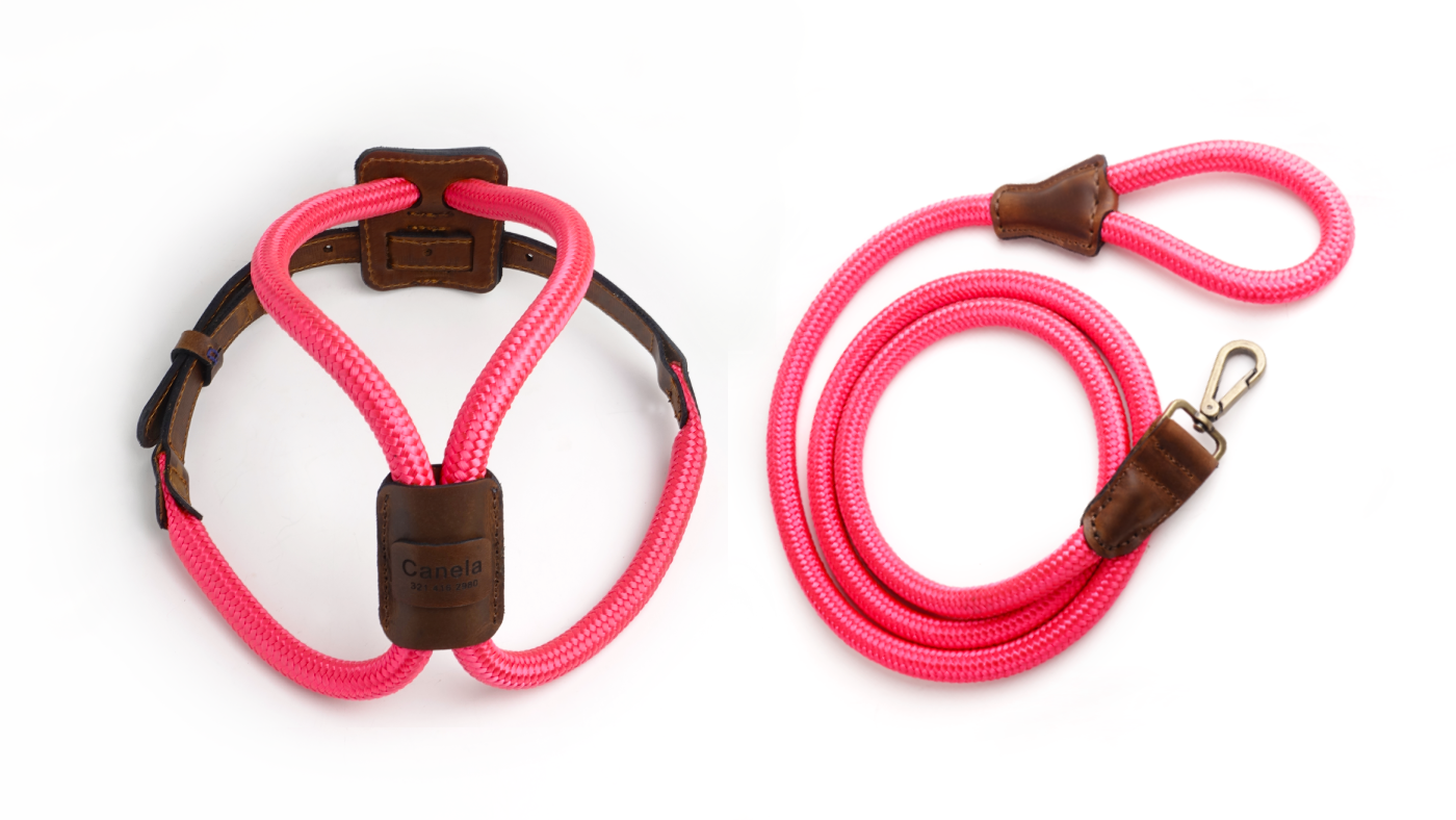 Arnes Colors 2 piezas Fucsia