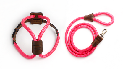 Arnes Colors 2 piezas Fucsia