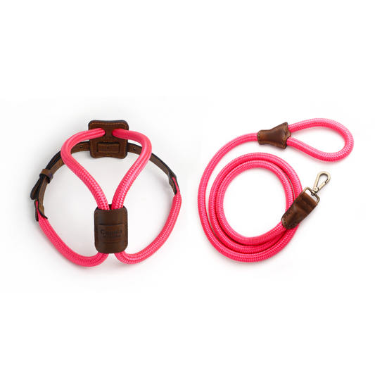 Arnes Colors 2 piezas Fucsia