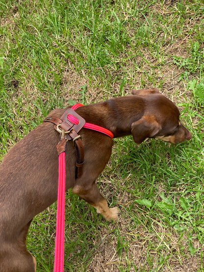 Arnes Colors 2 piezas Fucsia