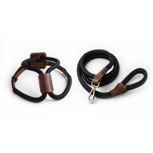 Arnes Colors 2 piezas Negro