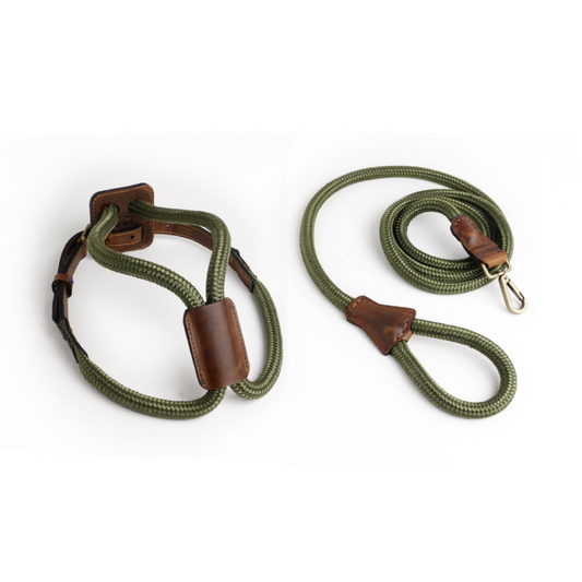 Arnes Colors 2 piezas Verde Oliva