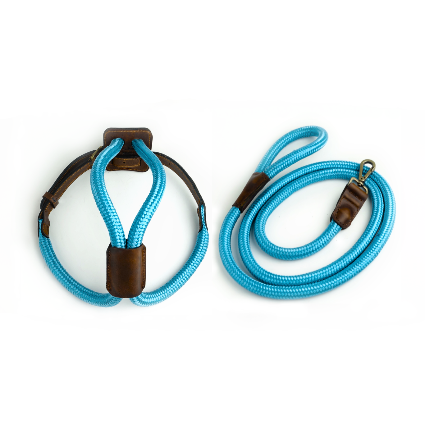 Arnes Colors 2 piezas Cyan